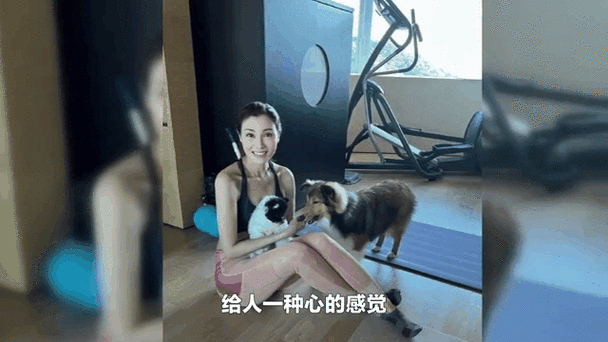 香港名星李嘉欣_香港影星李嘉欣_香港女明星李嘉欣