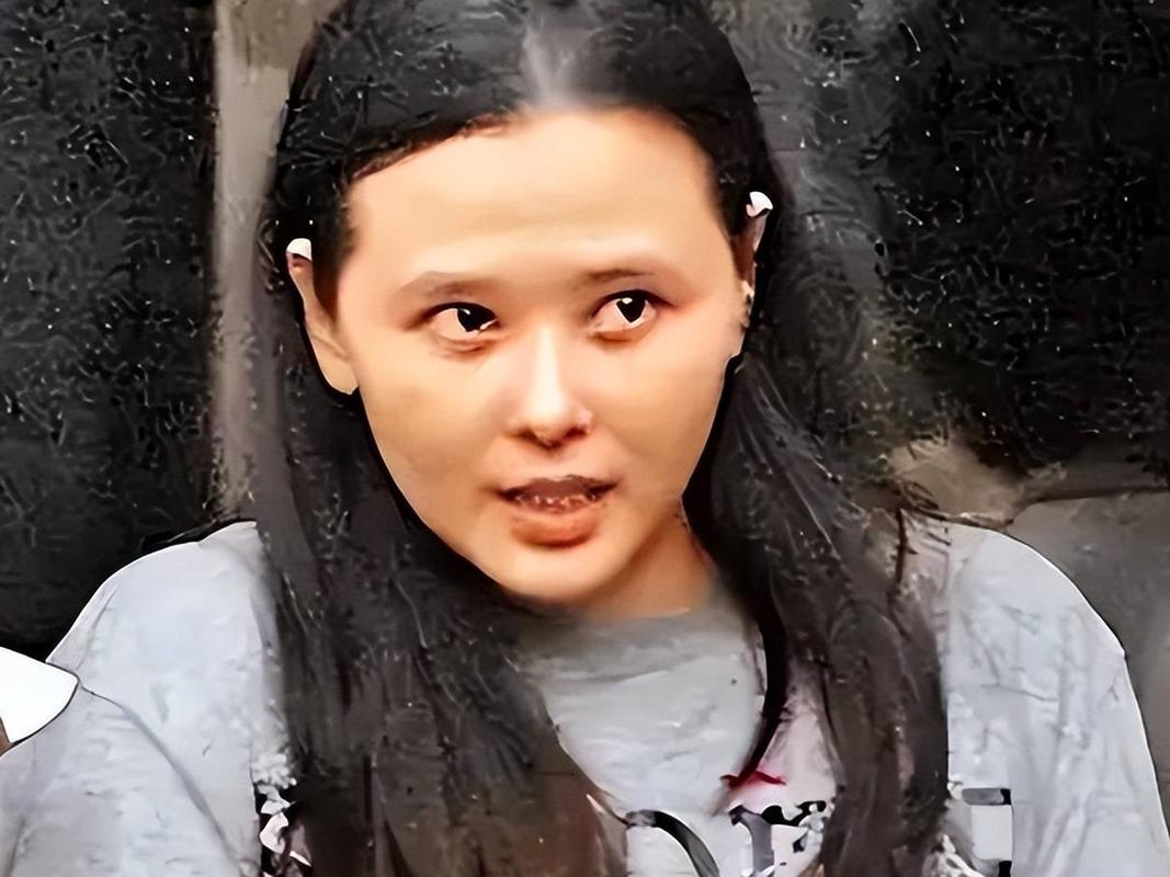 香港娱乐圈高学历才女_香港高学历演员_高学历香港明星